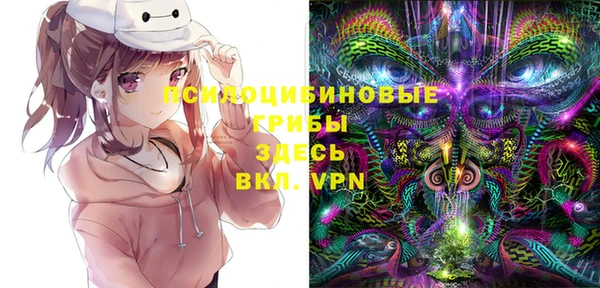 MDMA Premium VHQ Дмитриев