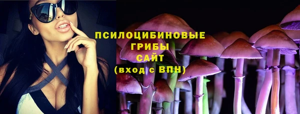 кокс Дмитровск