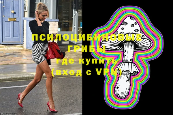 кокс Дмитровск