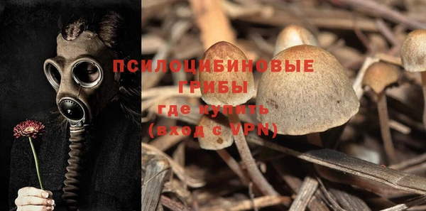 MDMA Premium VHQ Дмитриев